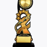 Economy Laser Awards, WL4514